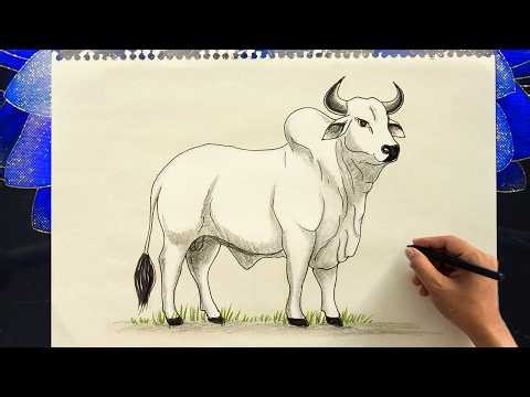 How to Draw a Bull (OX) Easily | Step by Step Bull / Ox Pencil Sketch drawing Tutorial for Beginners