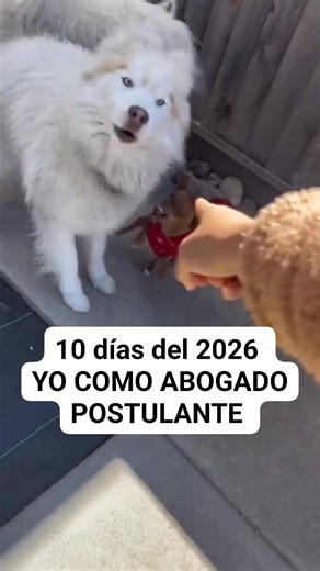 LA VIDA DE UN LIC. | Artistas Legales