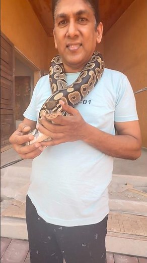 ! #Chilling with my Python pals #AnacondaLife