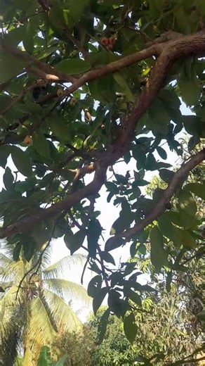 21 tháng 2, 2026."❤️❤️".