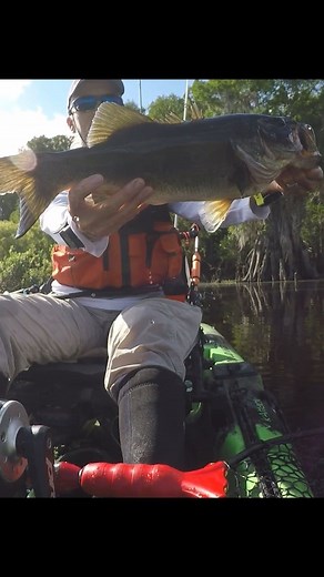 Fishing the swampy backwaters. Caught this girl in 1 foot of water. #kayakfishing #floridabass #ladyangler #senko | Old Lady Angler