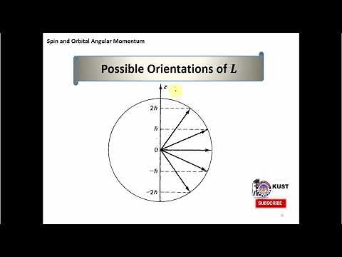 Spin and Orbital Angular Momentum