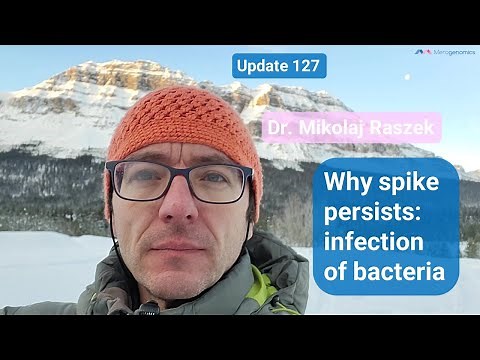 Why does spike protein persists so long? Evidence of bacterial infection (#127)