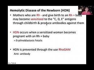 Hemolytic Disease of the Newborn (HDN)