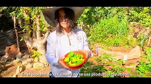 A través del Programa de Extensionismo se han beneficiado a mujeres rurales para emprender un huerto de traspatio en beneficio de su economía familiar. #LaydaSansores #GobiernoDeTodos | Ramón Ochoa P.