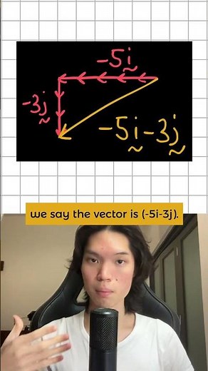 vectors explained