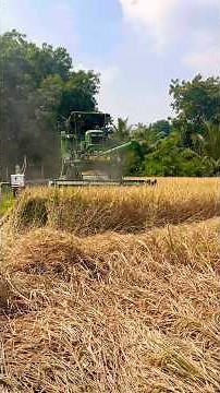 big vari machine #shortvideo #automobile #xcavator #excavator #jcbbaba #viral #bulldozer#travel