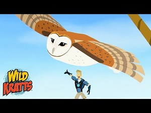 Barn Owls | Silent Hunters of the Sky | Animals for Kids | Season 7 | Wild Kratts