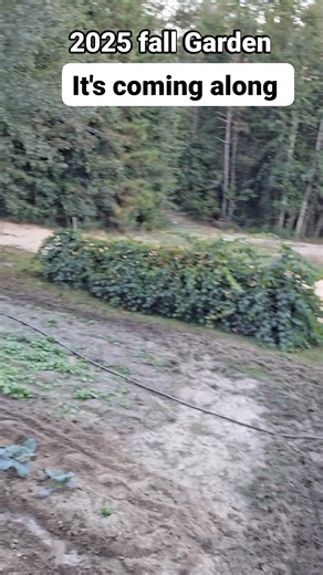 12 reactions · 5 comments | Just in time for Thanksgiving 旅 Thanks for sharing  With your family and friends | Russell Peters | Facebook