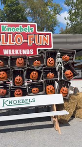 54K views · 636 reactions | Whether you come for the daytime delights or the spooky lights- Hallo-Fun weekends has something for everyone!!!! | Knoebels Amusement Resort | Facebook