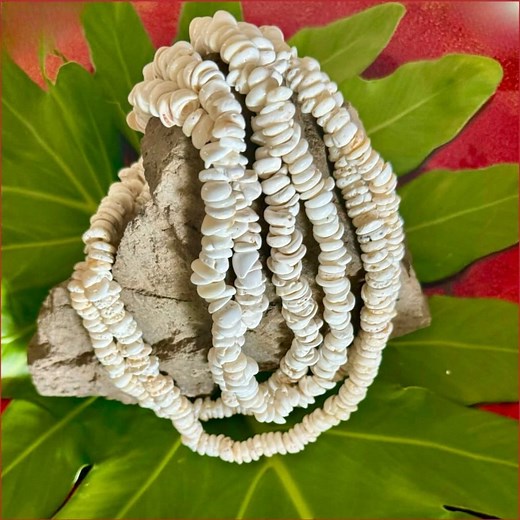 Da Hawaiian Store Natural Puka Shell Necklace (choose Length) - Etsy