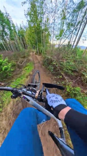 Small Gaps, Big Flow SST | Galbraith MTB