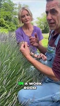 Dry Lavender Like A PRO: Culinary Tips You NEED To Know!