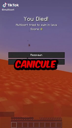 Un peu trop réaliste je crois #Minecraft