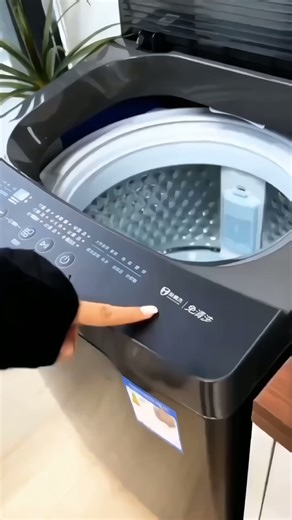 美的（Midea）波轮洗衣机全自动家用 5.5公斤宿舍租房迷你洗衣机小型随心洗 以旧换新补贴 MB55V36E 波轮
