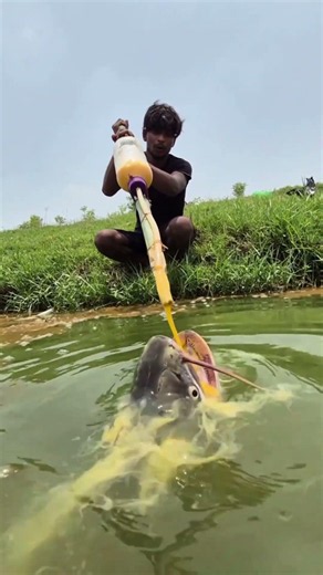Egg & Bamboo Tools Used For Catching Big Fish #reels