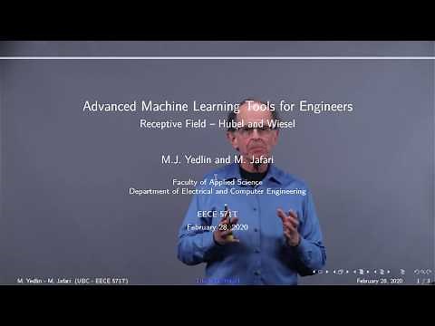 Receptive Field: Hubel and Wiesel