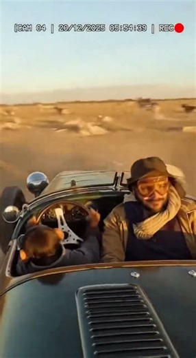 The Weirdest CCTV Video of A Baby Chimpanzee Just Dropped