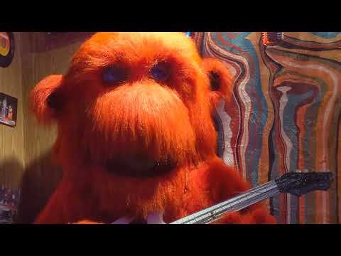 Up close with Wizzy from the Wizbangs of Mystery Fun House