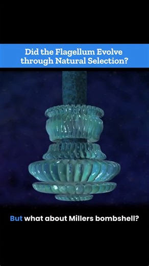 2K views · 472 reactions | How do you think the bacterial flagellum came to be? . . .#intelligentdesign #scienceandtechnology #biologystudent #scienceandfaith #biologyislife #scienceisfun | Center for Science & Culture | Facebook