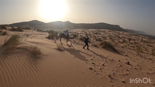 La Vuelta 2025. Étape 12 L’épilogue. Le 26/02/2025. Les extras. | Abderrahmane Md Cheikh