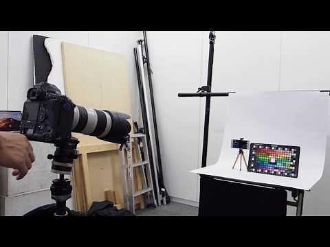 EOS-1D X Mark IIIの連続撮影枚数を検証