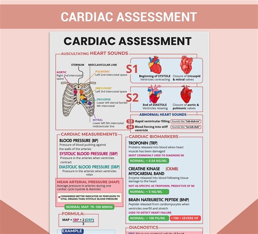 Cardiac Assessment Cheat Sheet for Nurses | Heart Sounds, Biomarkers & MAP | Editable Canva Template - Etsy Canada