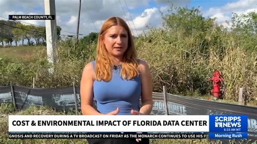 Project Tango's impact on Florida's natural resources