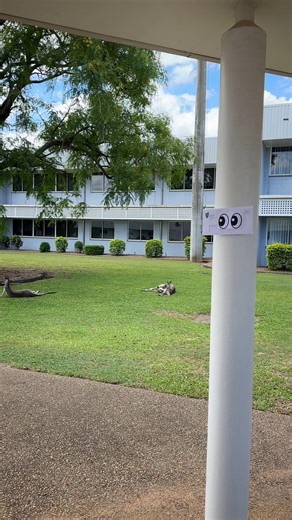 Live Study Q&A Session on 20 November 2023