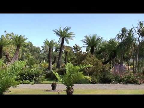 Logan Botanic Garden - Garden Highlights