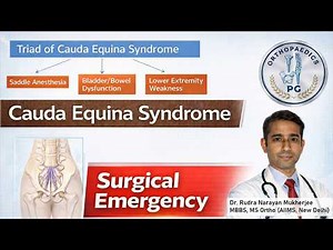 Cauda Equina Syndrome