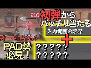 [Aim sticks] How to use "a certain item" and the input range limit to achieve manual auto aim [AP...