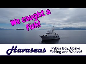 Halibut Fishing and Whales in Pybus Bay / MV Havaseas - Nordhavn 55