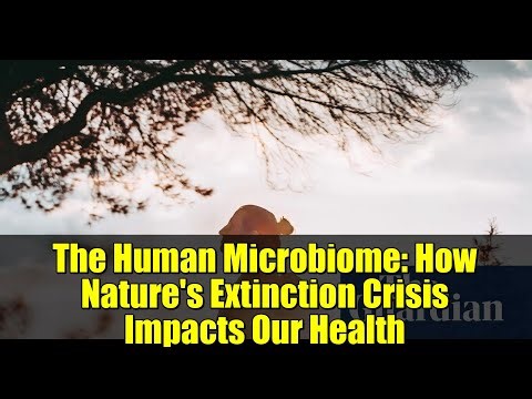 The Human Microbiome: How Nature's Extinction Crisis Impacts Our Health