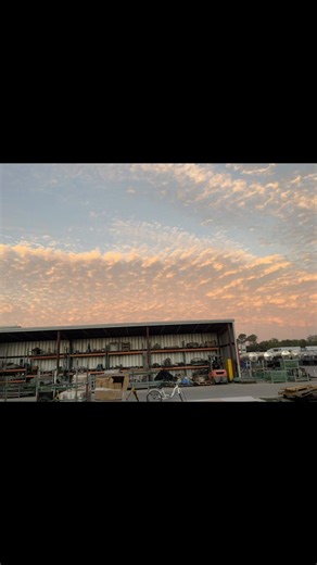 day 11 completed ✔️ no gym today but stayed on my meal prep, body felt more fatigue today so i decided to give myself some rest but as always god bless yall. #weightloss #fitness #gymtok #gymmotivation #god