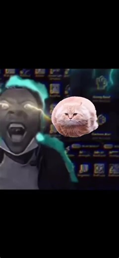 #peak #floatingcat #spinning #speed #viral?