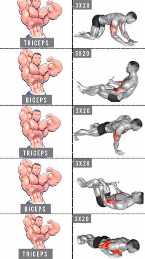 Biceps & Triceps Home Workout - No Gym Required