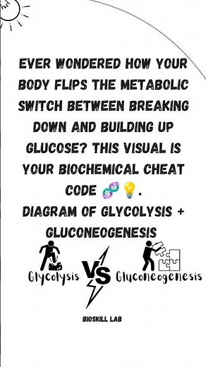 Glycolysis and Gluconeogenesis 📚🧪