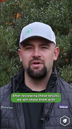 What is a Soil Test?
