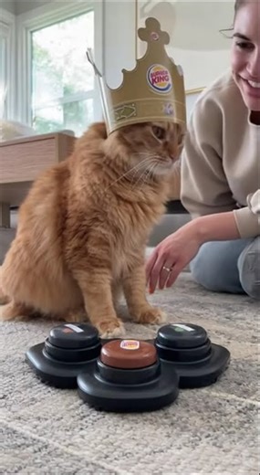 Cat using the talking buttons 😱😱