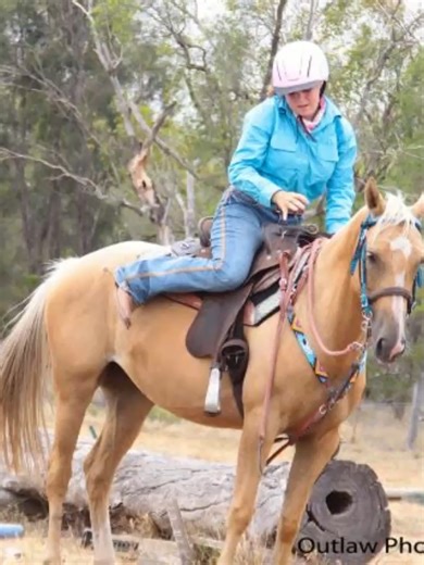 SlideShow_12_01_2026_21_27_30