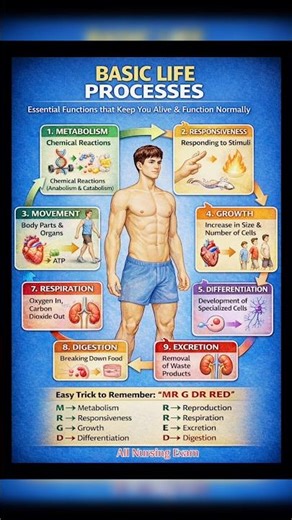 basic life process 🧬