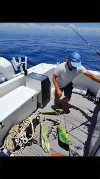 Best Way To Clean a Mahi Mahi - Tuesday Tip #tuesdaytip #seatotable #cruising