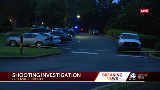 21-year-old woman arrested following Upstate shooting, officials say