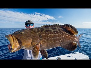 The GOVT Made it ILLEGAL to keep this fish... Catch Clean Cook (Grouper)