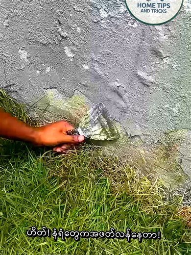 Natural Pest Control: The Secret to a Bug-Free Home #PestControl #NaturalRemedies #HomeHacks #DIY #InsectRepellent #CleanHome #LifeHacks #MyanmarHomeTips #EcoFriendly #HealthyLiving