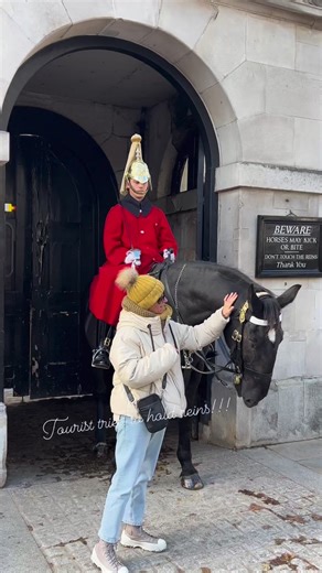 81K views · 1.7K reactions | Amazing Scene at Horse Guard Today....