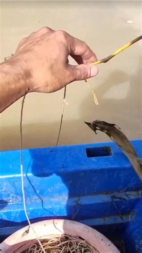 Great catch 🎣🐟 #fishing | Pandu Wilantara