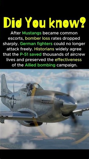 How the P-51 Mustang Drastically Reduced Bomber Losses #p51 #p51mustang #ww2fighter