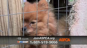 ASPCA TV Spot, 'Shocking Situations'